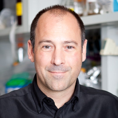 Christopher D. Lima, PhD | Investigator | 2013-Present